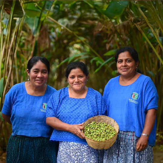 Café en grains Guatemala Kekchi BIO single origin — Mates Café