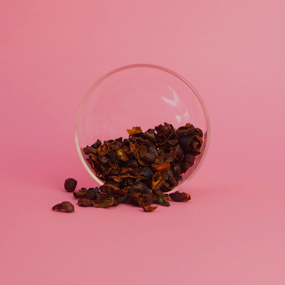 Cascara Éthiopie Galeh — Café de spécialité Mates Café