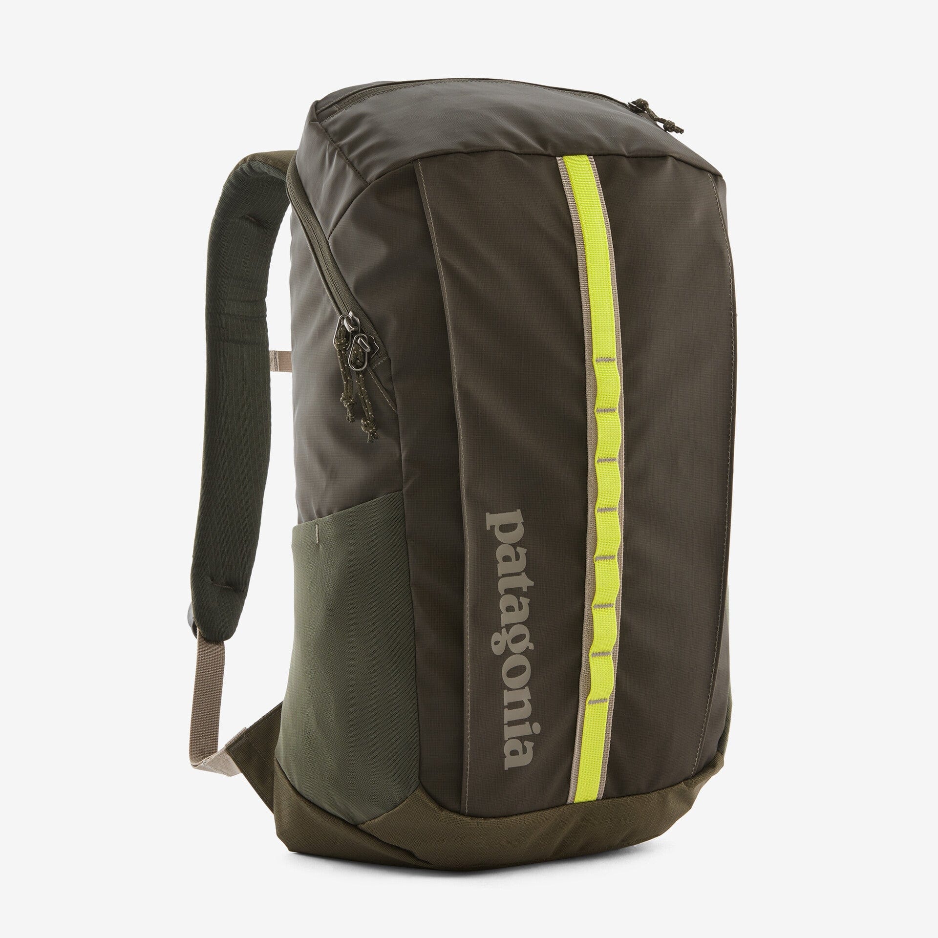 Patagonia Accessoires Black Hole® Pack 25L Pine Needle Green